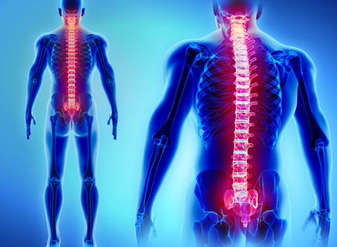 Spinal health
