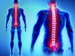 Η υγεία της σπονδυλικής στήλης
